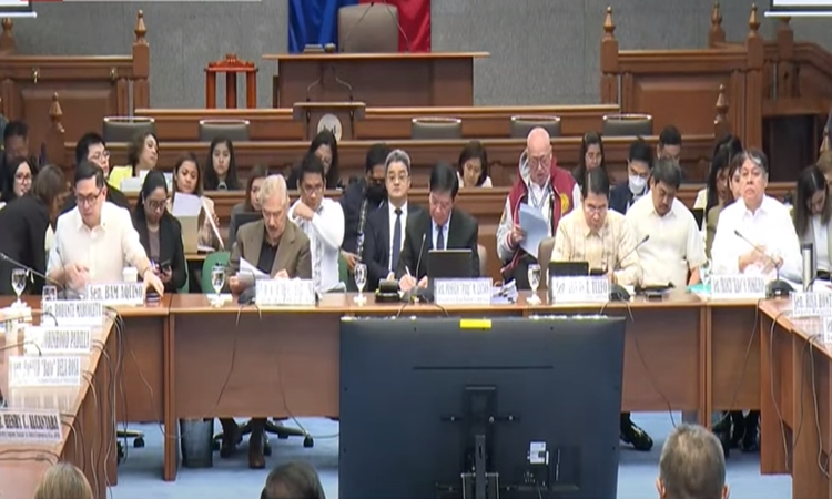 Senate Flood Hearing