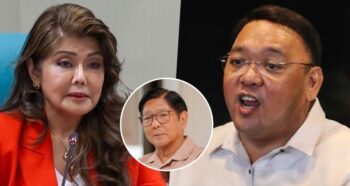 Harry Roque, Imee Marcos, Bongbong Marcos