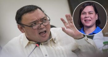 Harry Roque, Sara Duterte