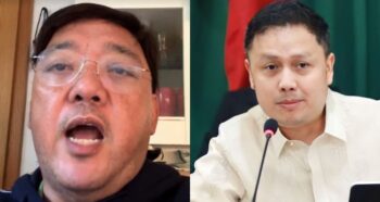 Harry Roque, Zaldy Co