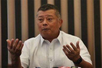 Ombudsman Boying Remulla