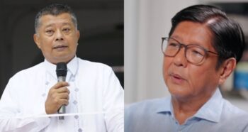 Ombudsman Boying Remulla, Bongbong Marcos