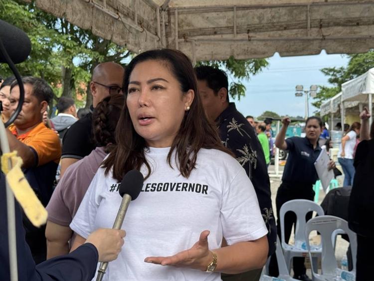 Cebu Governor Pam Baricuatro