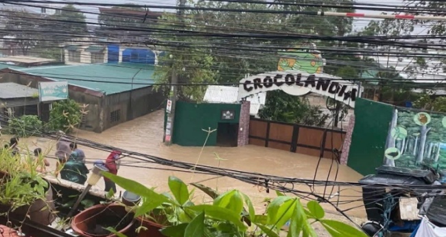 Crocodile and Wildlife Park