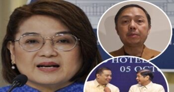 Malacañang, Zaldy Co, Bongbong Marcos, Martin Romualdez