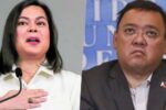 Sara Duterte, Harry Roque