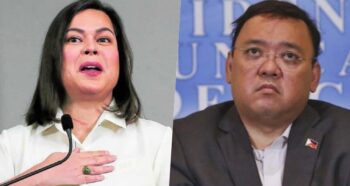 Sara Duterte, Harry Roque