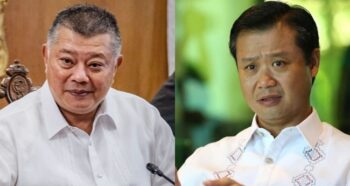 Sherwin Gatchalian, Ombudsman Boying Remulla