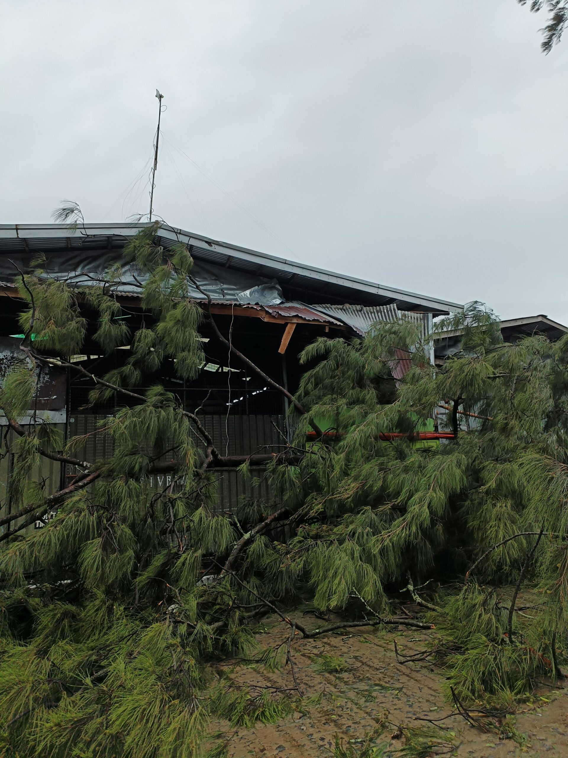 Typhoon Tino Talisay City