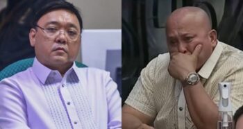 Harry Roque, Bato dela Rosa