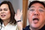 Harry Roque, Sara Duterte