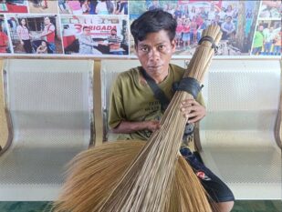 Walis Vendor