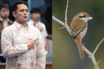 Robin Padilla