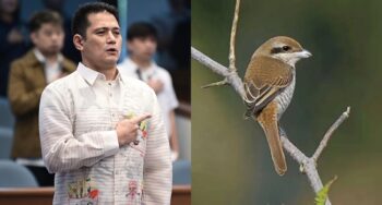 Robin Padilla