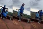 bungee jump
