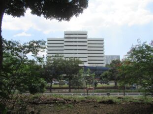 Bureau of Internal Revenue National Office building in Quezon City seen behind trees
